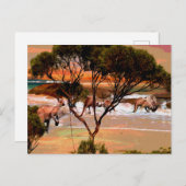 Kusthop: Kangoeroes aan de kust in olie Briefkaart (Voorkant / Achterkant)