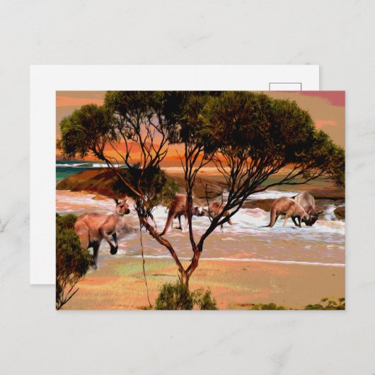 Kusthop: Kangoeroes aan de kust in olie Briefkaart (Voorkant / Achterkant)