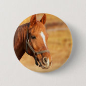 KUSTHORSE 2 INCH RONDE BUTTON (Voorkant)