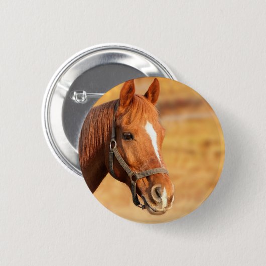 KUSTHORSE 2 INCH RONDE BUTTON (Voorkant /achterkant)