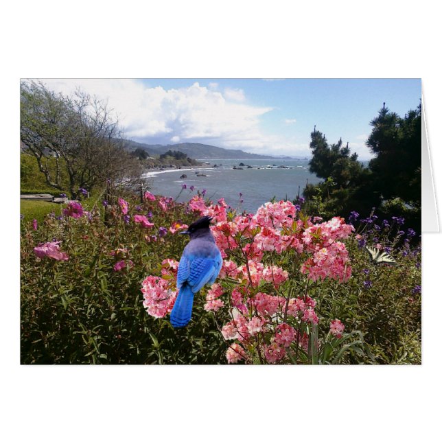 KustJay (Voorkant Horizontaal)