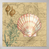 Kustkaartcollage Poster (Voorkant)