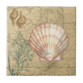 Kustkaartcollage Tegeltje (Voorkant)