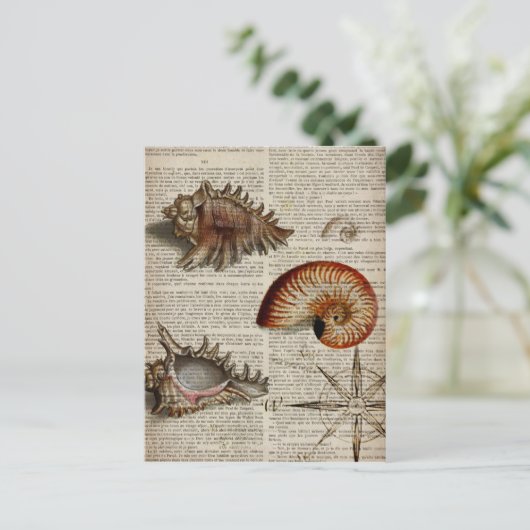 kustkever -  seashell - botanische druk briefkaart (Staand voorkant)