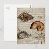 kustkever -  seashell - botanische druk briefkaart (Voorkant / Achterkant)