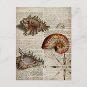 kustkever -  seashell - botanische druk briefkaart