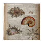 kustkever -  seashell - botanische druk tegeltje (Voorkant)