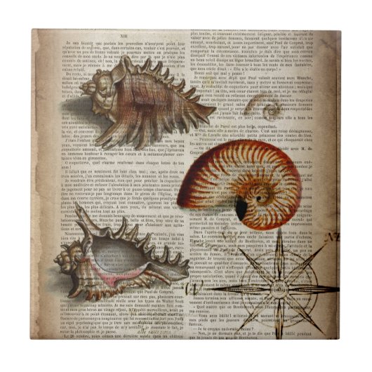 kustkever -  seashell - botanische druk tegeltje (Voorkant)