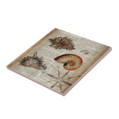 kustkever -  seashell - botanische druk tegeltje (Zijkant)