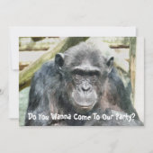 KUSTKIMPANZES KAART (Voorkant)