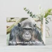 KUSTKIMPANZES KAART (Staand voorkant)