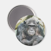 KUSTKIMPANZES MAGNEET (Voorkant / Achterkant)