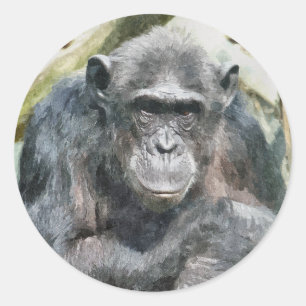 KUSTKIMPANZES RONDE STICKER