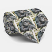 KUSTKIMPANZES STROPDAS (Opgerold)