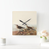 Kustklok voor kustvogels vierkante klok (Huis)