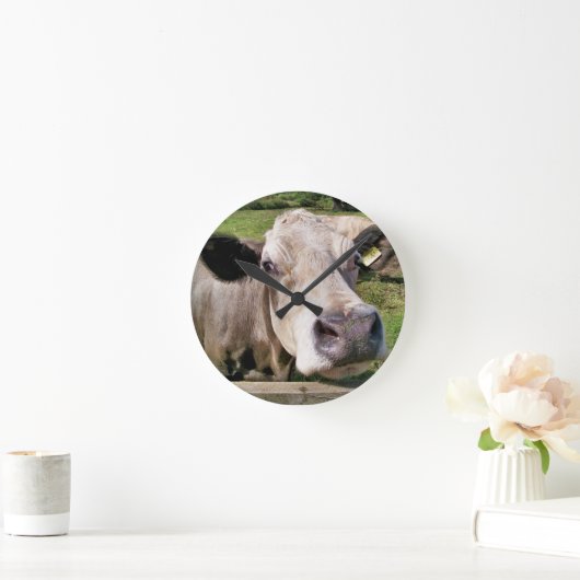 KUSTKOOL RONDE KLOK (Huis)