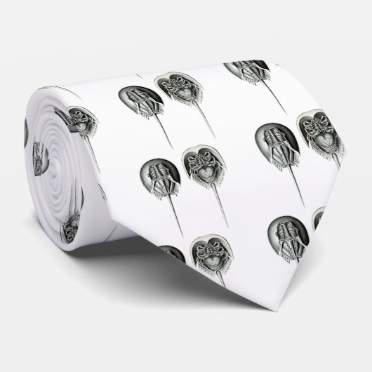 Kustkrab Hoefijzer Stropdas (Opgerold)