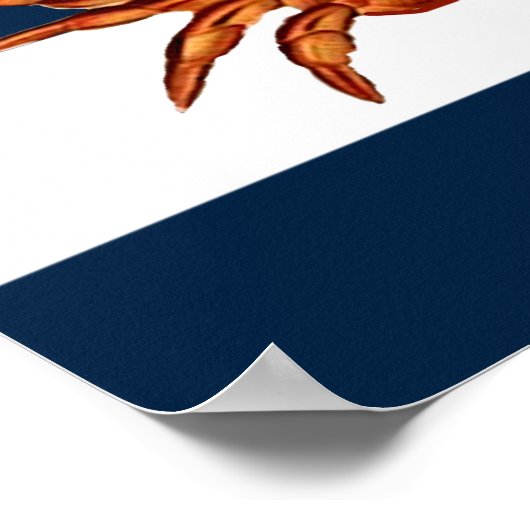 Kustkrab Nautical Stripes Poster (Hoek)
