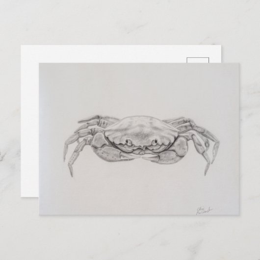 Kustkrab tekening briefkaart (Voorkant / Achterkant)