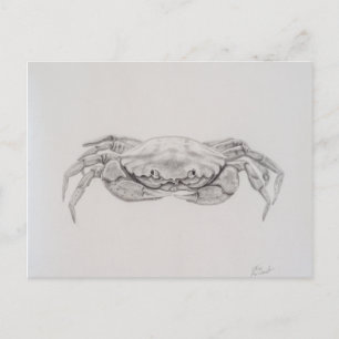 Kustkrab tekening briefkaart