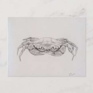 Kustkrab tekening briefkaart
