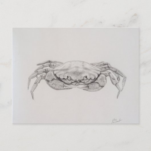 Kustkrab tekening briefkaart (Voorkant)
