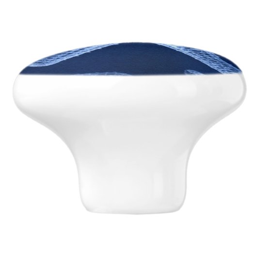 kustkreeft rustisch zeeblauwe zeester keramische knop (Zijkant)