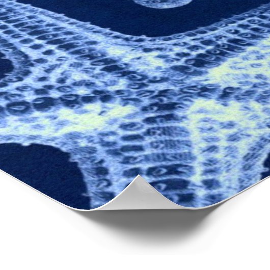 kustkreeft rustisch zeeblauwe zeester poster (Hoek)