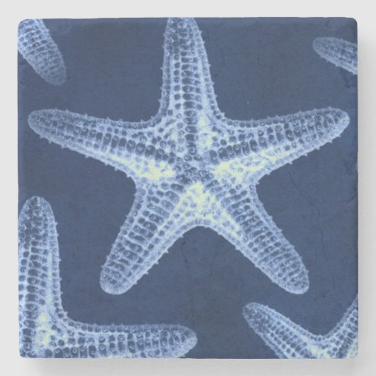 kustkreeft rustisch zeeblauwe zeester stenen onderzetter (Voorkant)