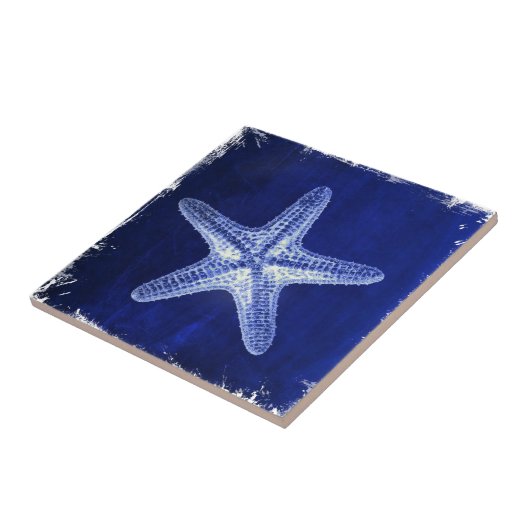 kustkreeft rustisch zeeblauwe zeester tegeltje (Zijkant)