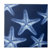 kustkreeft rustisch zeeblauwe zeester tegeltje (Voorkant)