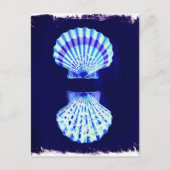 kustkust - tsjechië - kustkust - zee - zee - zeesc briefkaart (Voorkant)