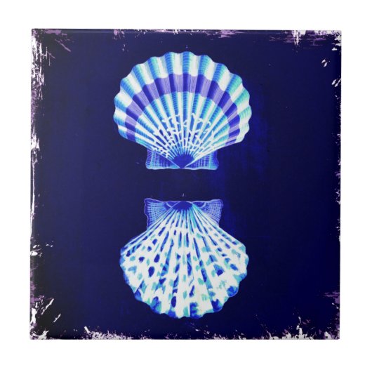 kustkust - tsjechië - kustkust - zee - zee - zeesc tegeltje (Voorkant)