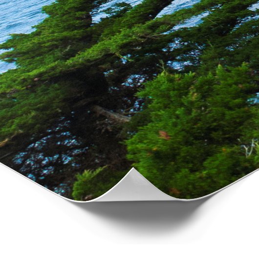 Kustlandschap Poster (Hoek)