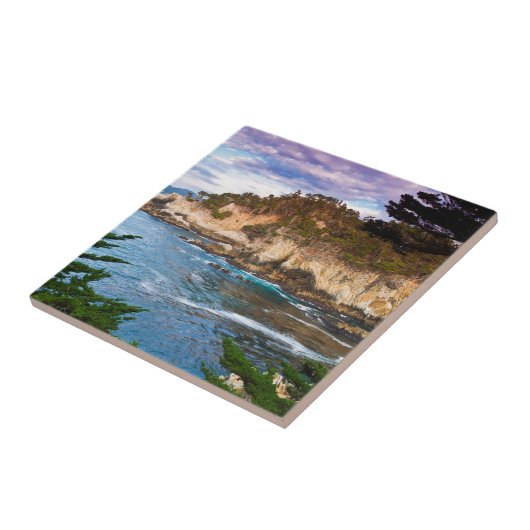 Kustlandschap Tegeltje (Zijkant)