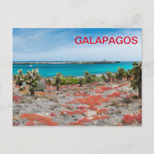 Kustlijn bij Galapagos Briefkaart (Voorkant)