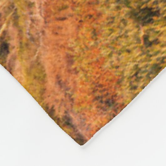 Kustlijn | Bixby Bridge, Big Sur California Fleece Deken (Hoek)