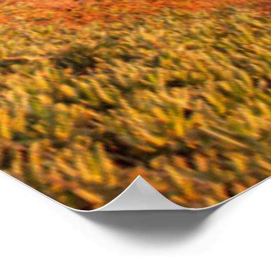 Kustlijn | Bixby Bridge, Big Sur California Poster (Hoek)