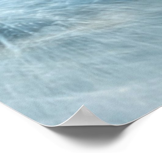 Kustlijn | Carmel California Poster (Hoek)