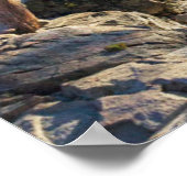 Kustlijn | Emerald Bay, Lake Tahoe, Californië Poster (Hoek)