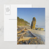 Kustlijn en zeestacks, Ruby Beach, Olympic Briefkaart (Voorkant / Achterkant)