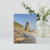Kustlijn en zeestacks, Ruby Beach, Olympic Briefkaart (Staand voorkant)