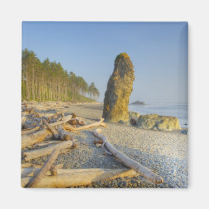 Kustlijn en zeestacks, Ruby Beach, Olympic Magneet