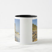 Kustlijn en zeestacks, Ruby Beach, Olympic Mok (Midden)