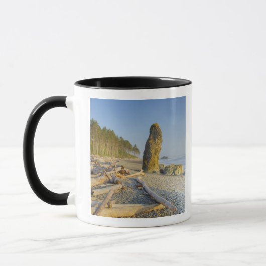 Kustlijn en zeestacks, Ruby Beach, Olympic Mok (Links)