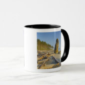 Kustlijn en zeestacks, Ruby Beach, Olympic Mok (Voorkant rechts)