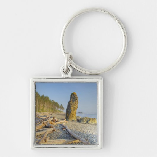 Kustlijn en zeestacks, Ruby Beach, Olympic Sleutelhanger (Voorkant)