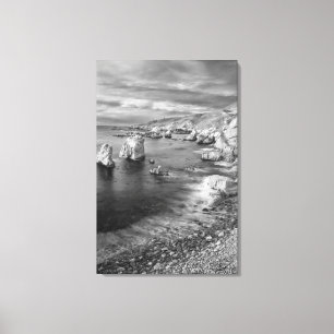 Kustlijn in zwart-wit, Californië Canvas Afdruk