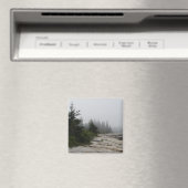 kustlijn magneet (Insitu (Vaatwasser))