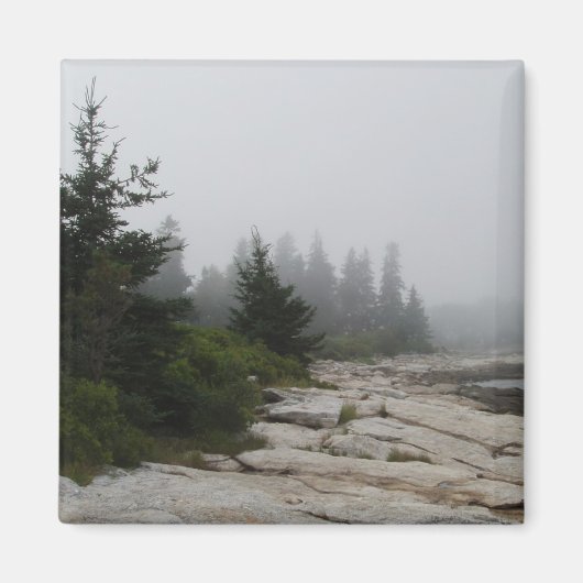 kustlijn magneet (Voorkant)